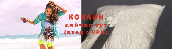 твердый Алексин