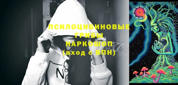твердый Алексин