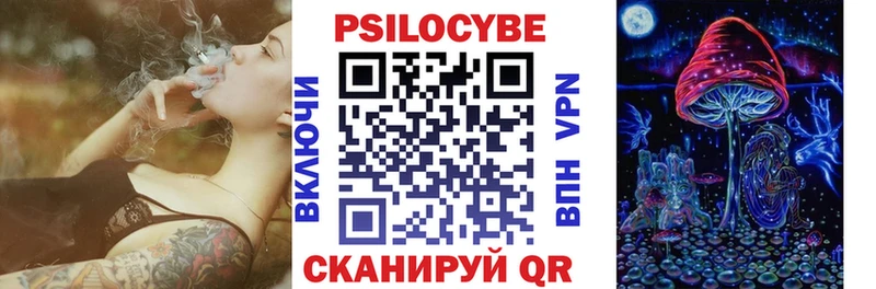 Псилоцибиновые грибы MAGIC MUSHROOMS наркошоп Палласовка